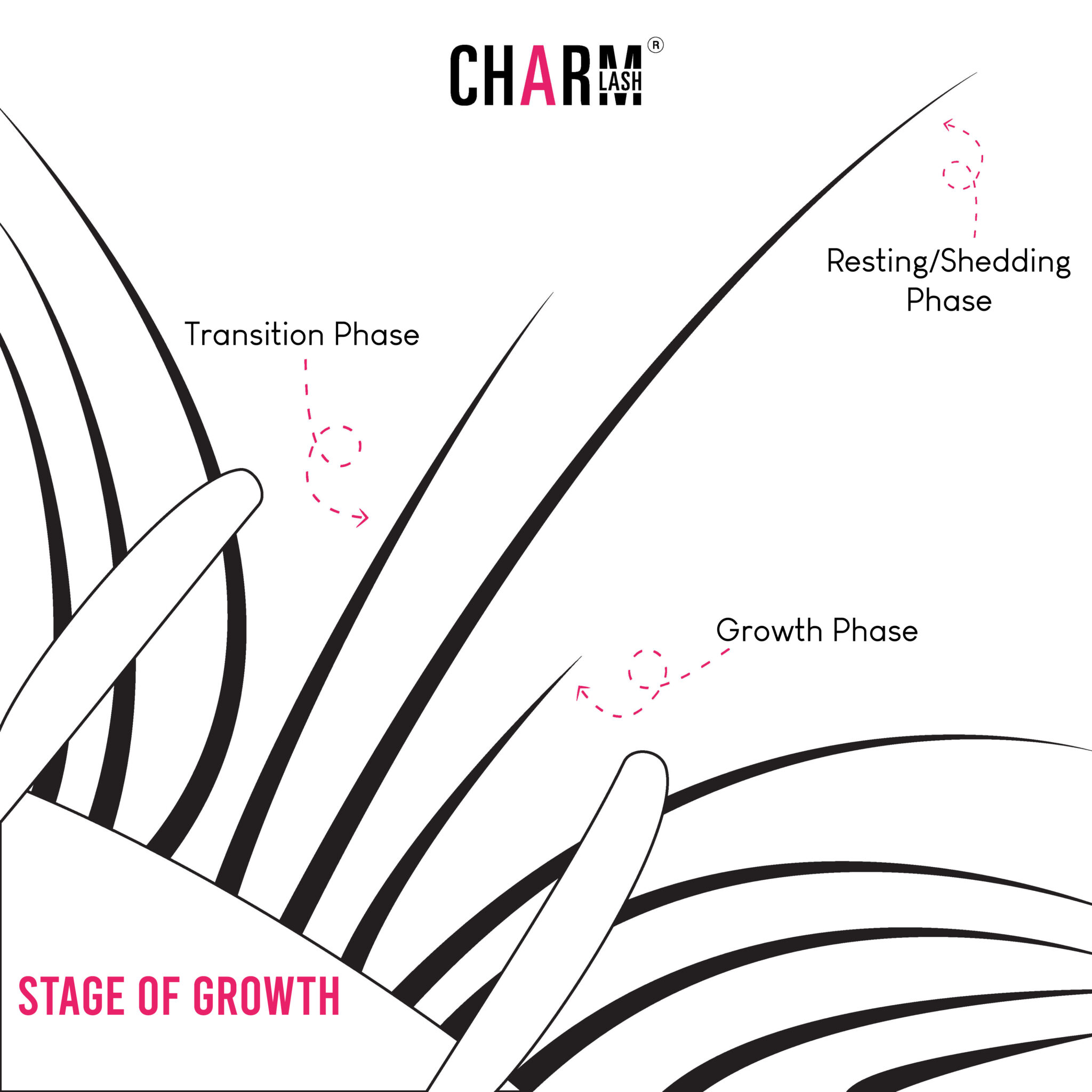 Lash Patch Test Why It Is Important And How To Do Charmlash