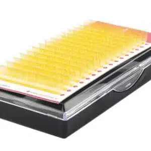 eyelash extension supplies wholesale two tone ice orange eyelash extensions wholesale manufacturer private label OEM ODM two toned lashes two tone eyelash extensions two tone lash extensions eyelash ombre ombre volume lashes lash supplies wholesale mink lashes wholesale mink the lash supply bulk lashes bulk eyelashes lashes beauty supply wholesale lash vendors mink lash vendors professional eyelash extension supplies eyelash supplies;