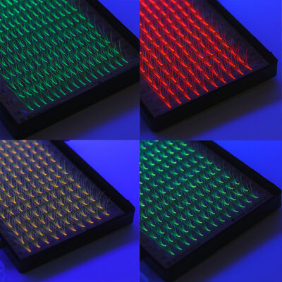 Trendsetter Secrets: What to Know About Neon Colors Eyelash Extensions premade-neon-lashes-extensions