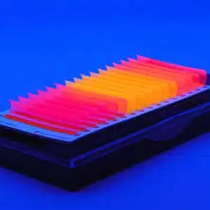 eye lash wholesale mix neon orange pink red wholesale lash extension vendors false eyelashes bulk mink lash extensions wholesale my lash supply best eyelash extension products bulk eyelash extensions eyelash extensions materials eyelashes wholesale mink private label lash suppliers luxury lashes wholesale mink lash trays wholesale