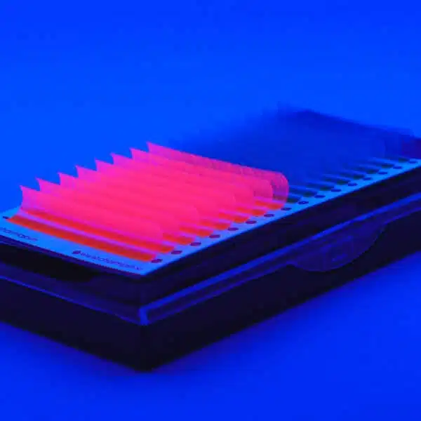 best mink lashes wholesale multi neon eyelash extensions manufacturer private label OEM ODM UV lashes eyelash extension manufacturer buy lashes in bulk best eyelash vendors vendors for eyelashes mink eyelashes in bulk best eyelash extension supplies mink individual lashes wholesale eyelashes beauty supply lash venders wholesale false eyelashes