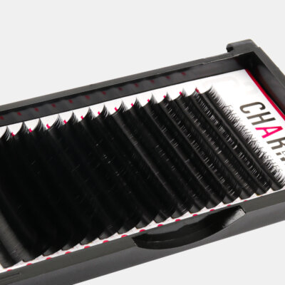 individual lashes C curl super dense glossy finish lightweight mink lashes