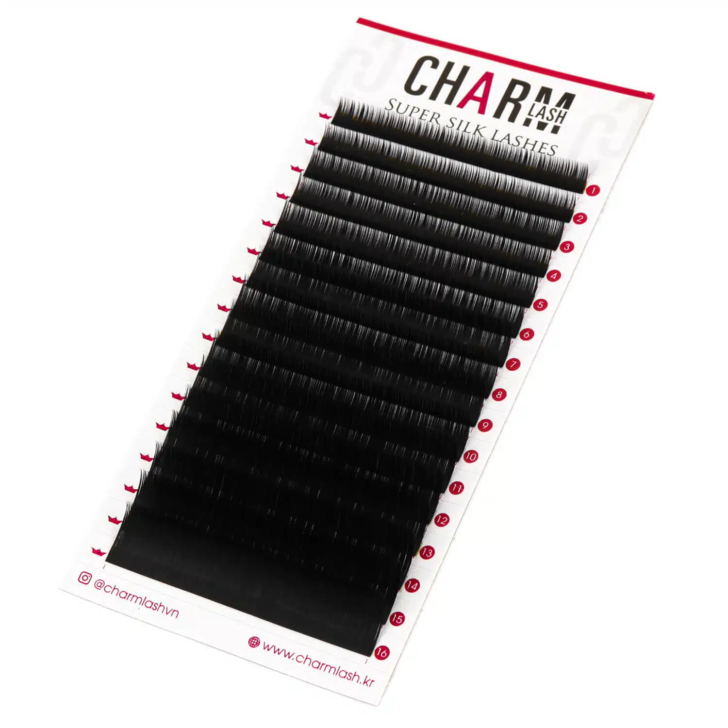 silk lash extensions tray supplier