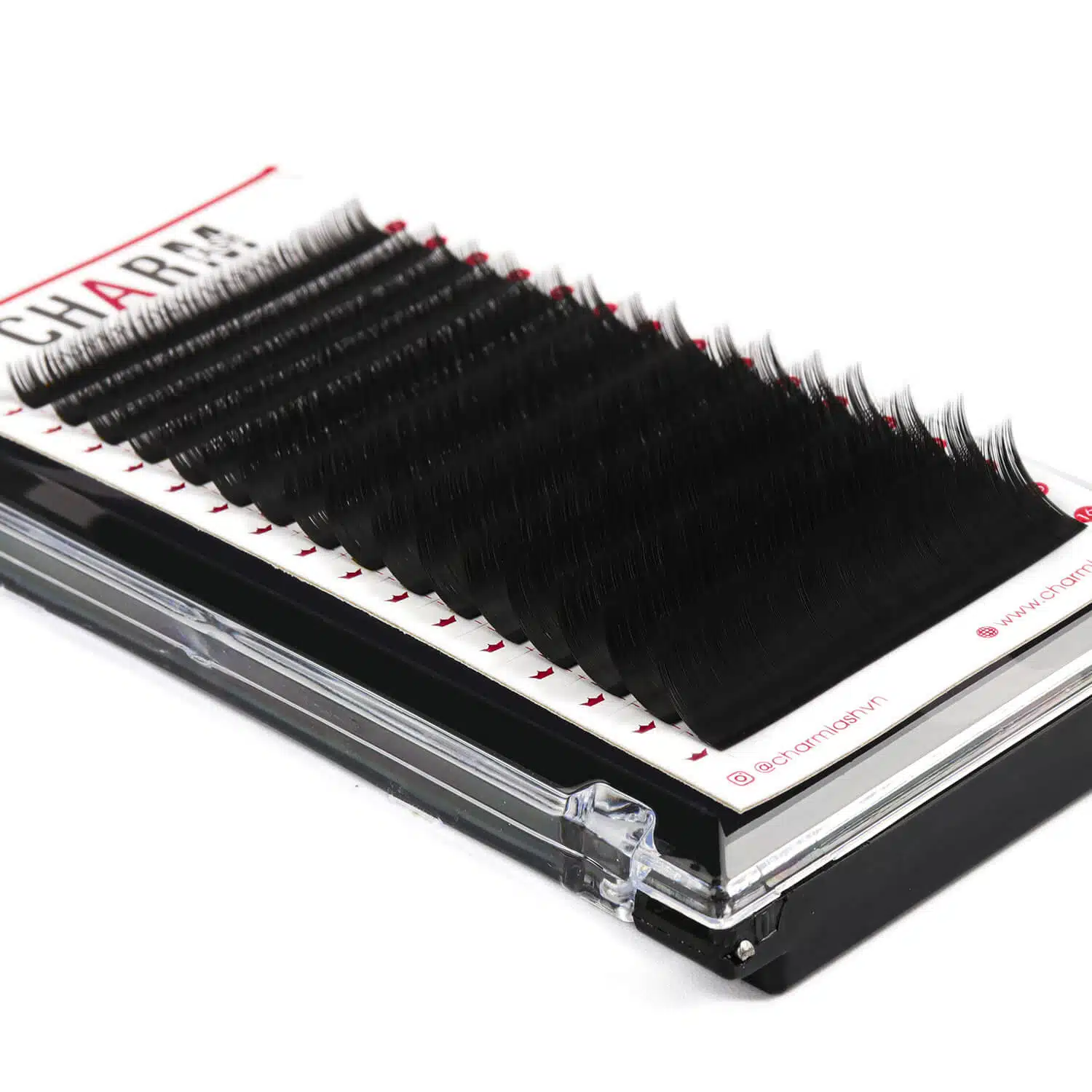 silk lash extensions tray supplier