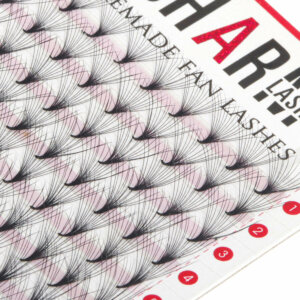 buy lashes wholesale-lash vendors-eyelash extensions manufacturer-wholesale lashes-eyelash extension supplies-lash extension supplies-lash supplies-wholesale mink lashes-professional eyelash extension supplies-3d mink lashes-3d mink lashes vendor-3d faux mink lashes wholesale-3d mink eyelashes wholesale-5d mink lashes- premade lash fans wholesale- premade volume fans wholesale- premade lash fans bulk- premade eyelash extension fans wholesale-premade lash fans 20mm-heat bonded-Korean PBT fiber-short stem-pointy base-narrow-fan
