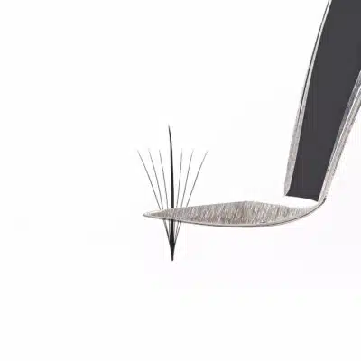 Wispy premade fan lash - 7D wispy premade fans wispy premade 7D fan CC curl wispy hybrid eyelashes wispy fans wispy hybrid lashes wispy lash extensions wispy eyelash extensions wispy volume lashes hybrid wispy lashes wispy volume lash extensions wispy hybrid lash extensions