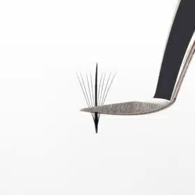 Premade wispy fans pointy base and perfect wide top.