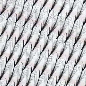 premade wispy fans Wispy premade fan lash 9D Charmlash premade fans wispy premade fan premade fan wispy wispy premade volume 5