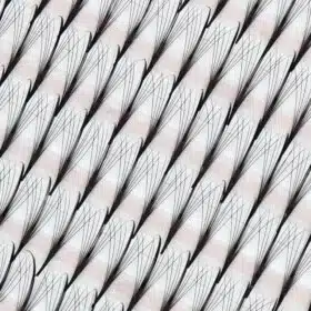 premade wispy fans Wispy premade fan lash 9D Charmlash premade fans wispy premade fan premade fan wispy wispy premade volume 6