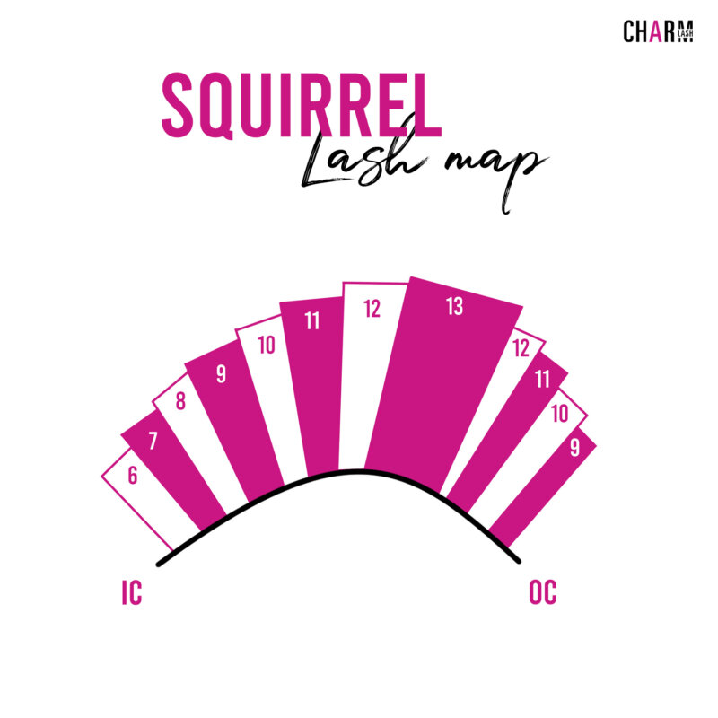 squirrel lash map