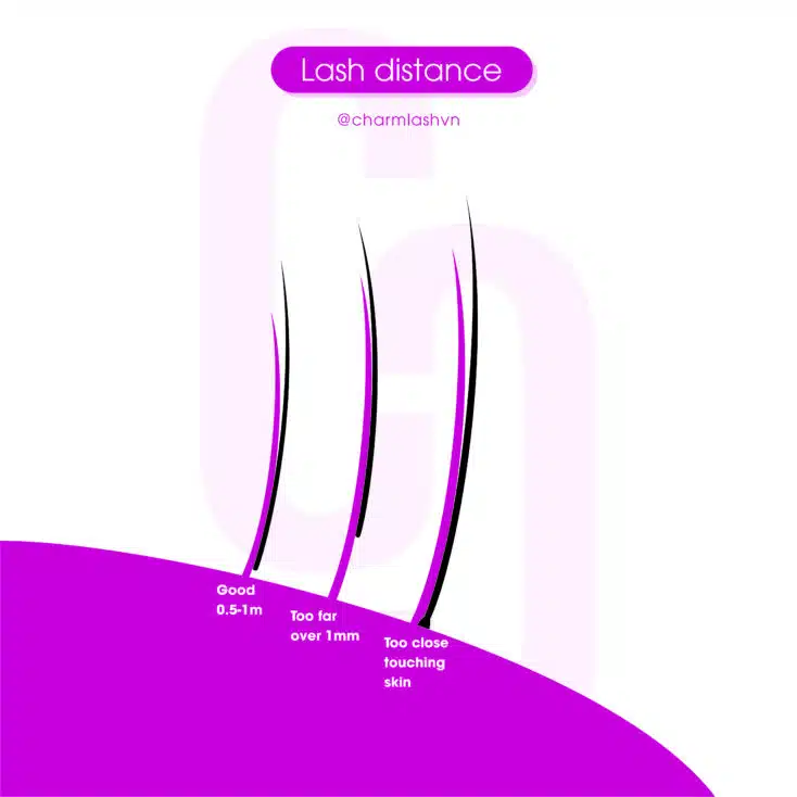 lash placement how to apply lash extensions lash placement tips proper lash extension placement;