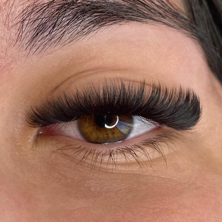 create mega volume fan eyelash extensions technique methods