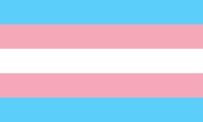 trans flag pride lashes