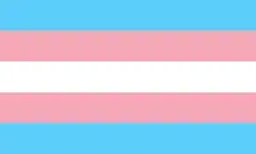 Color your beauty with pride lashes! trans flag pride lashes