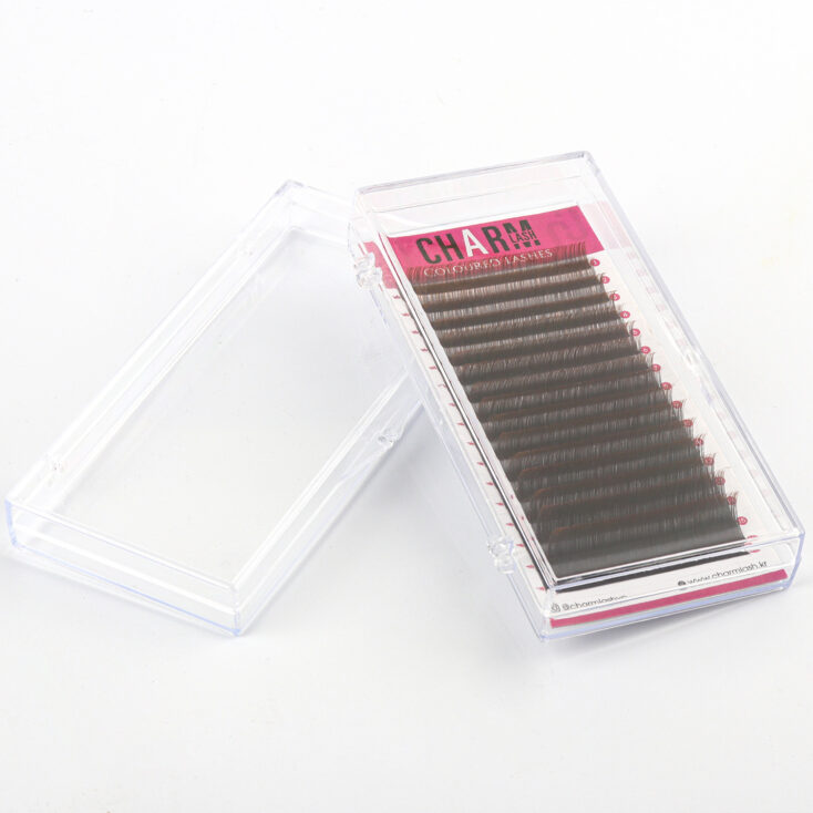 Classic-transparent-plastic-box private label wholesale lash