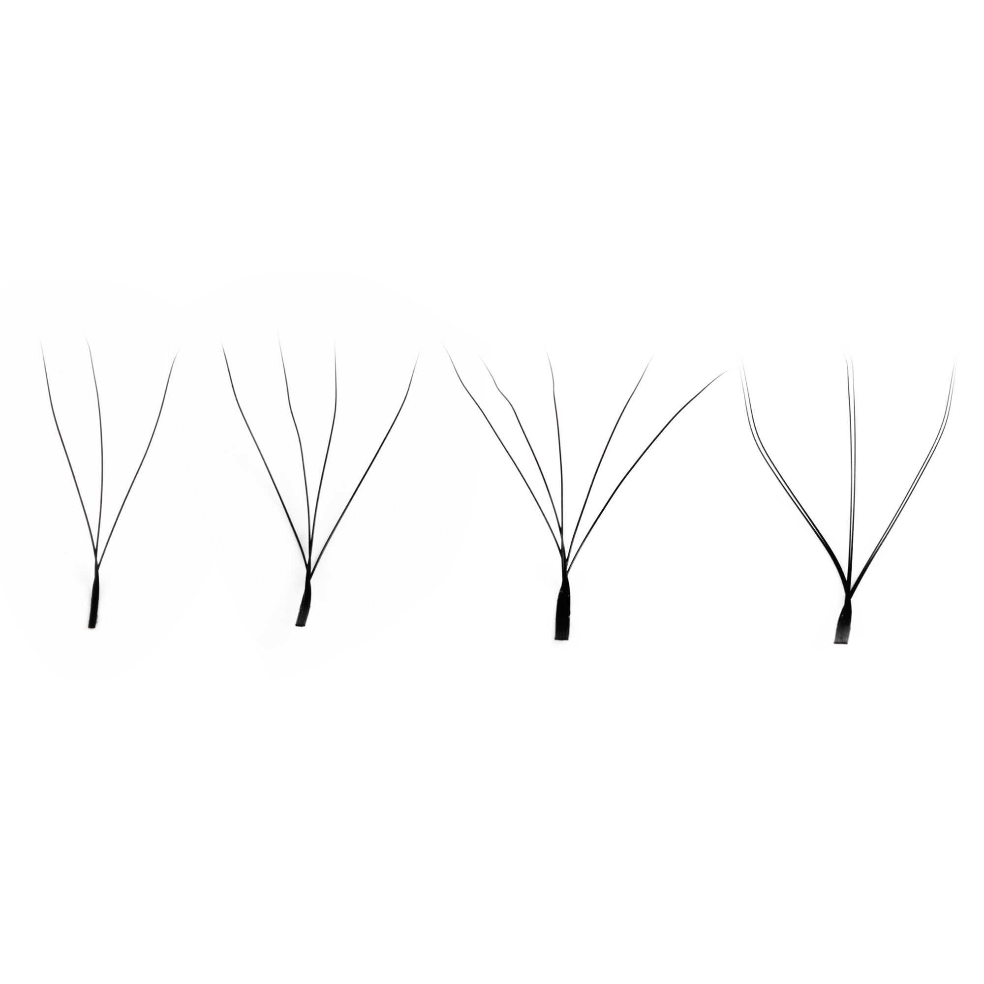 All about W eyelash extensions 3D-4D-5D-6D-w-eyelash-extensions