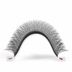 3D w eyelashes