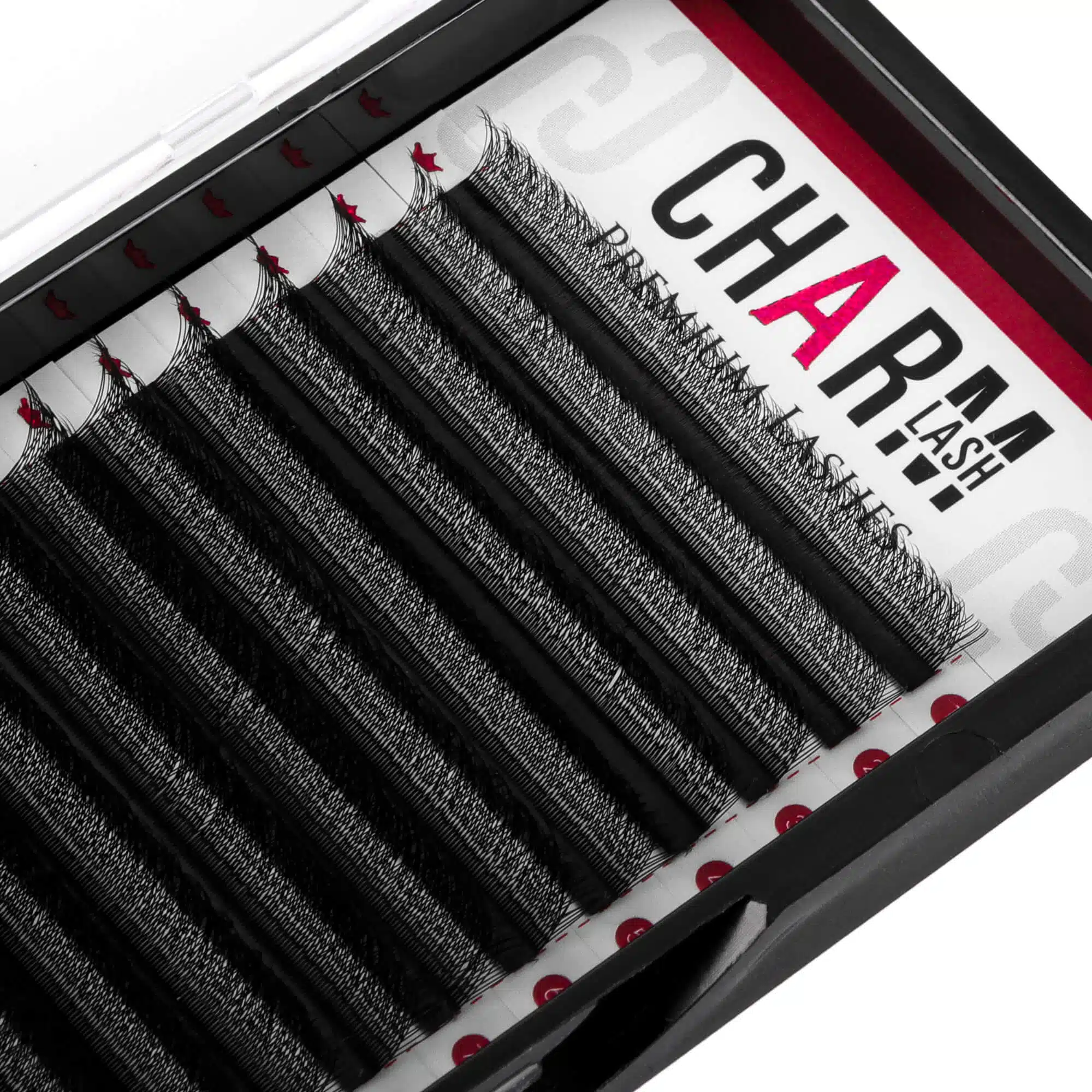 w eyelashes tray