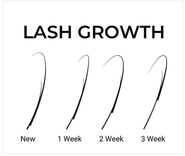 Lash growth cycle