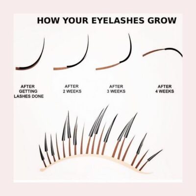 how your eyelashes grow