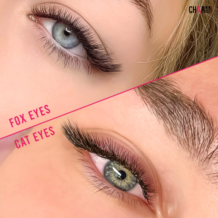 Fox eyelashes and Cat eyes Comparison