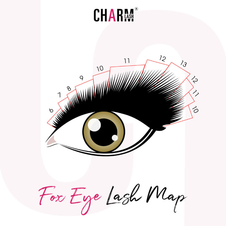 Fox eyelashes - lash map
