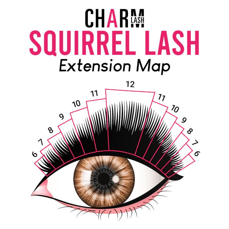 Squirrel eyelash extensions