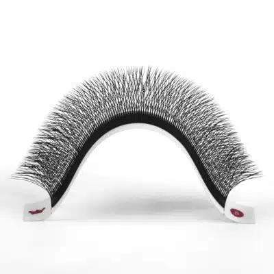 4D W eyelashes volume extensions