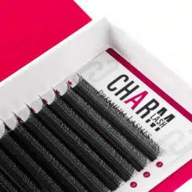 4D W eyelashes volume extensions14