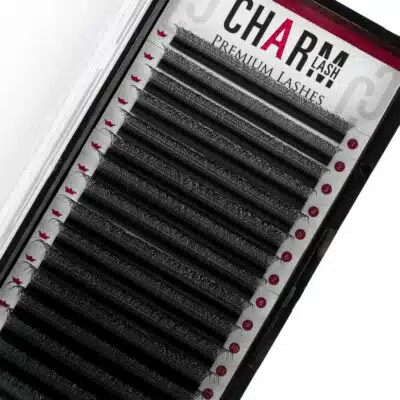 4D W eyelashes volume extensions