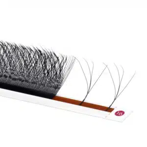 4D W eyelashes volume extensions