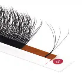 4D W eyelashes volume extensions3