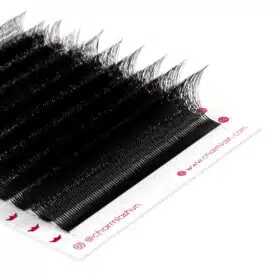 4D W eyelashes volume extensions4