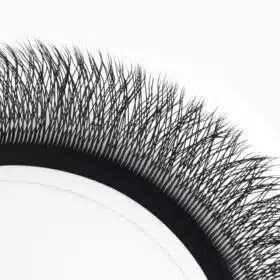 4D W eyelashes volume extensions6