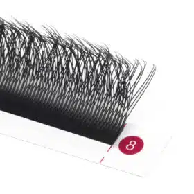 4D W eyelashes volume extensions