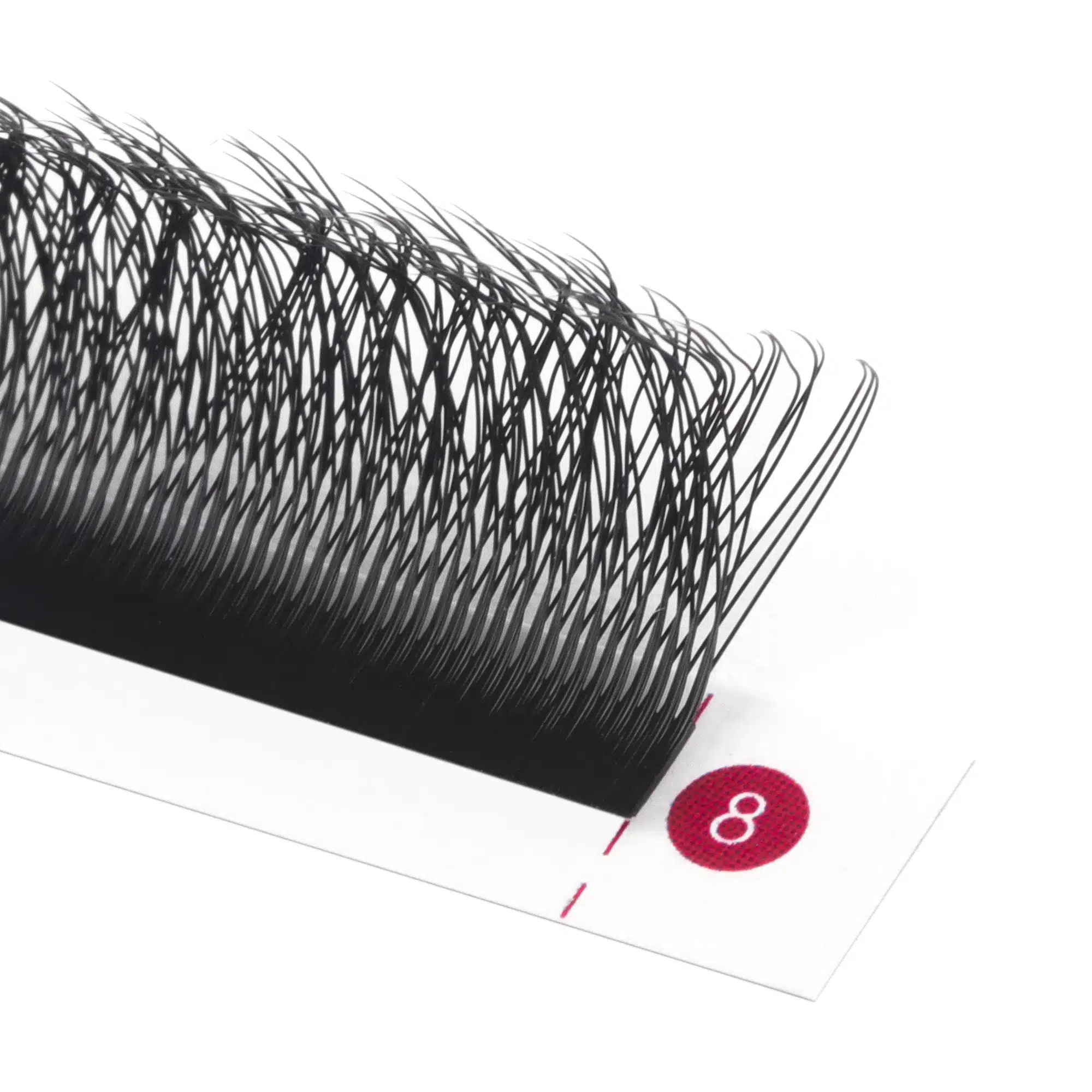 4D W eyelashes volume extensions