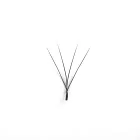 4D W eyelashes volume extensions