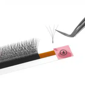 4D W lashes