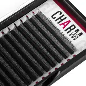 5D W wispy lashes 19