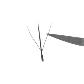 5D W wispy lashes 21