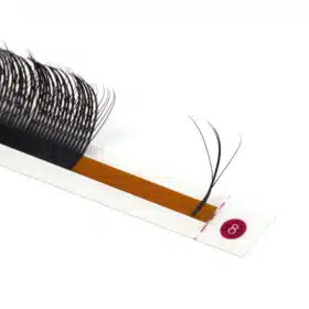 5D W wispy lashes 24