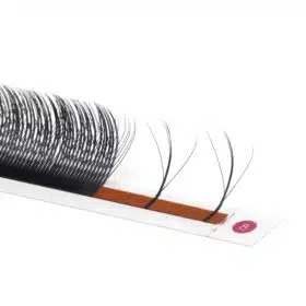 5D W wispy lashes 27