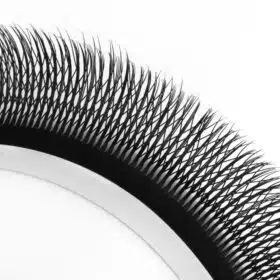 5D W wispy lashes 3