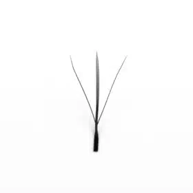 5D W wispy lashes 33