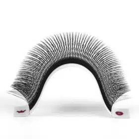 5D W wispy lashes 37