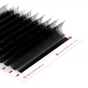5D W wispy lashes 5
