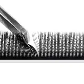 5D W wispy lashes 7