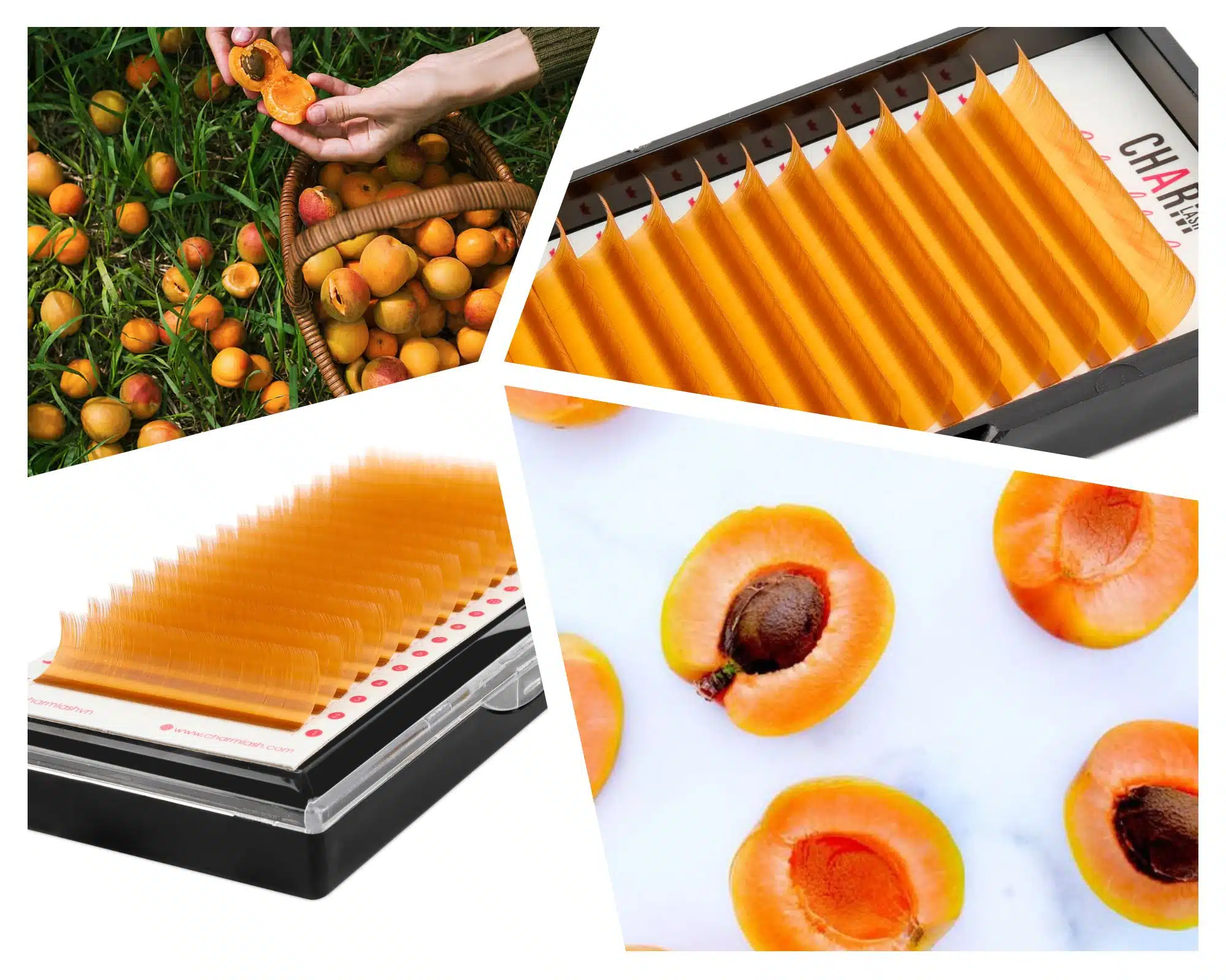 12 shades of brown - A perfect alternative for black lashes apricot brown lashes