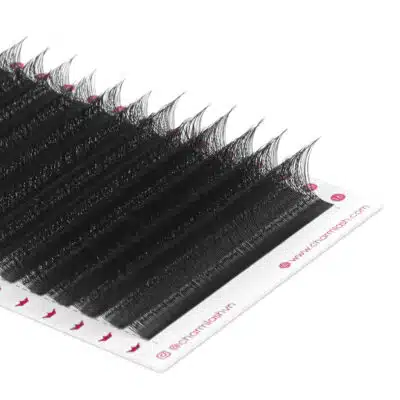 Double 3D W lash
