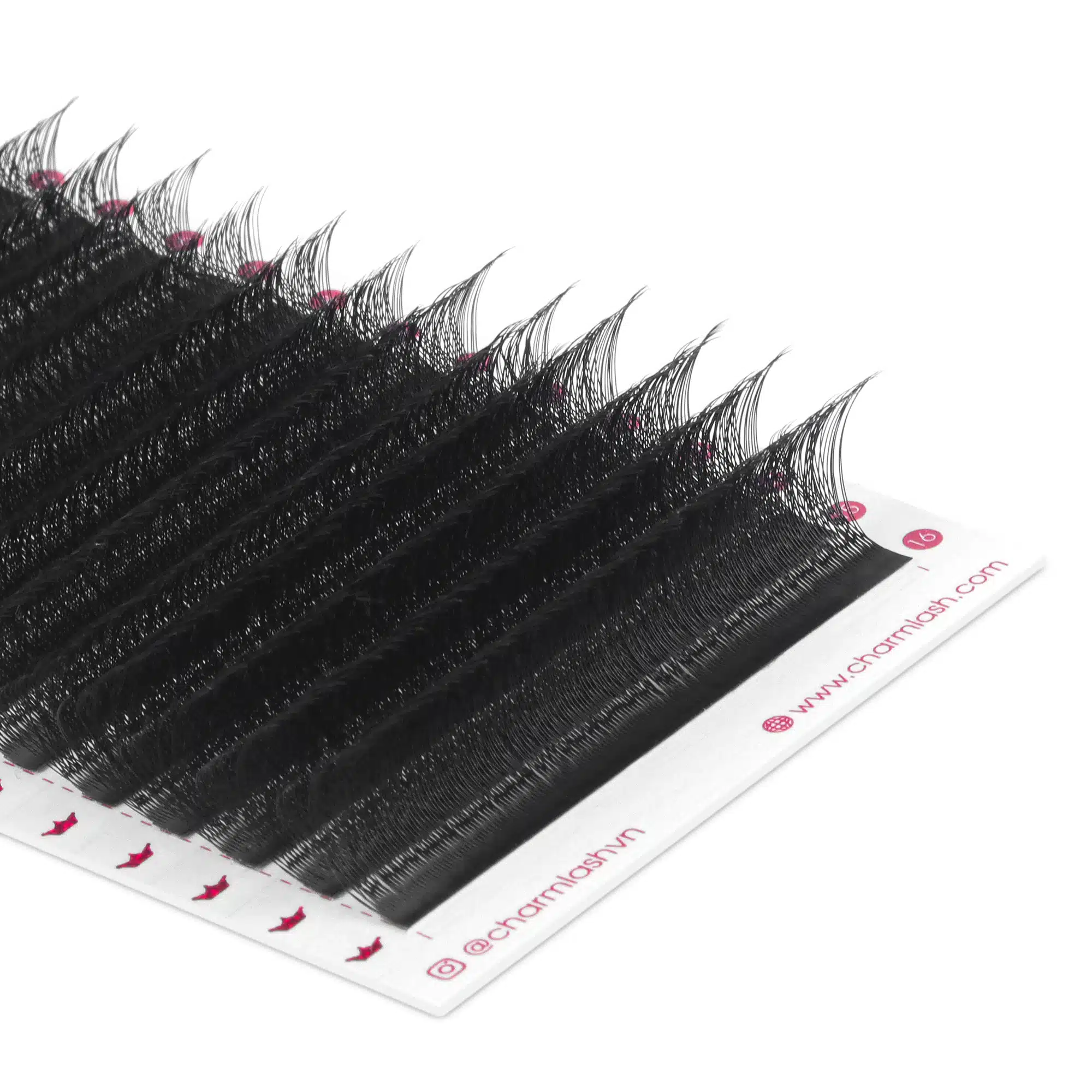 Double 3W lash